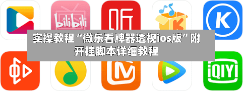 实操教程“微乐看牌器透视ios版”附开挂脚本详细教程-第2张图片