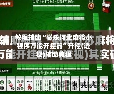 教程辅助“微乐河北麻将小程序万能开挂器	”开挂(透视)辅助教程-第2张图片