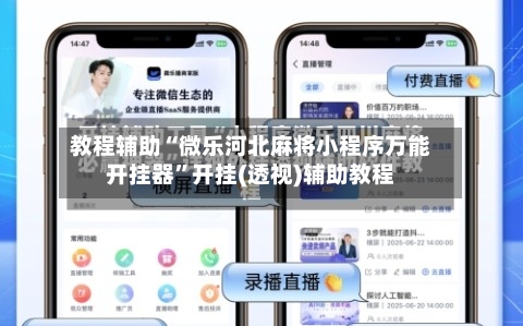 教程辅助“微乐河北麻将小程序万能开挂器”开挂(透视)辅助教程-第3张图片