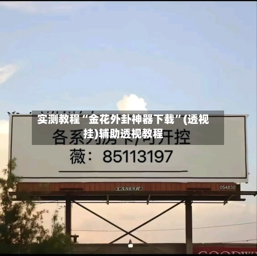 实测教程“金花外卦神器下载”(透视挂)辅助透视教程-第1张图片