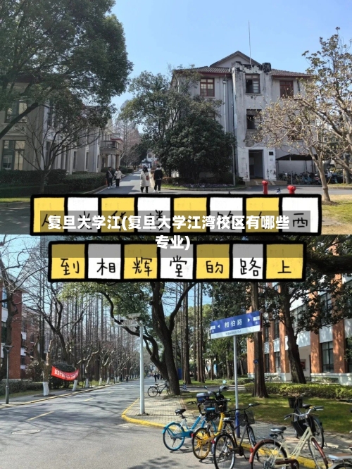 复旦大学江(复旦大学江湾校区有哪些专业)