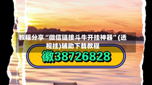 教程分享“微信链接斗牛开挂神器”(透视挂)辅助下载教程-第2张图片