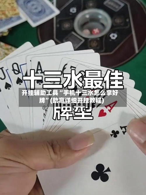 开挂辅助工具“手机十三水怎么拿好牌”(助赢详细开挂教程)-第2张图片
