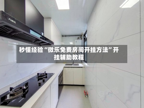 秒懂经验“微乐免费房间开挂方法”开挂辅助教程-第2张图片