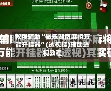 教程辅助“微乐湖南麻将万能开挂器	”(透视挂)辅助透视教程-第2张图片