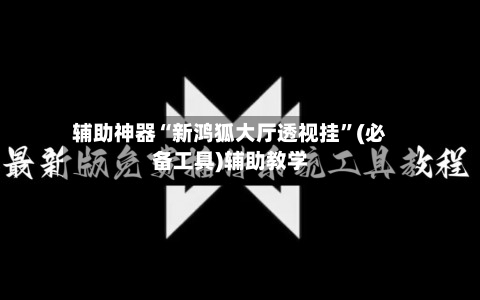 辅助神器“新鸿狐大厅透视挂”(必备工具)辅助教学-第1张图片