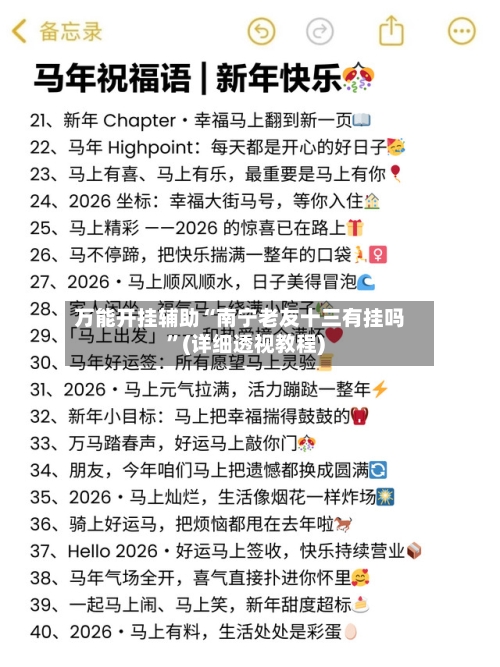 万能开挂辅助“南宁老友十三有挂吗”(详细透视教程)-第2张图片