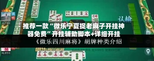 推荐一款“微乐宁夏捉老麻子开挂神器免费	”开挂辅助脚本+详细开挂-第2张图片