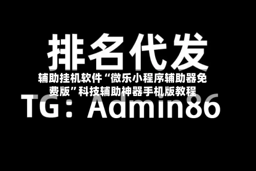 辅助挂机软件“微乐小程序辅助器免费版	”科技辅助神器手机版教程-第3张图片