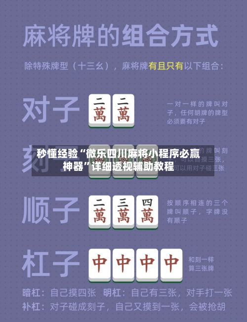 秒懂经验“微乐四川麻将小程序必赢神器	”详细透视辅助教程-第1张图片