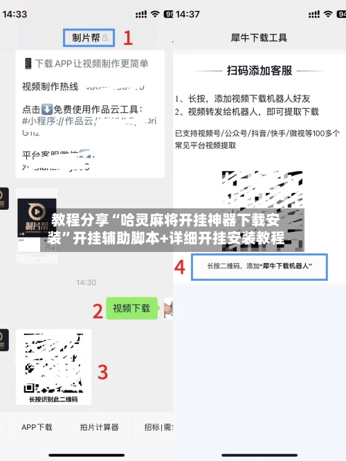 教程分享“哈灵麻将开挂神器下载安装”开挂辅助脚本+详细开挂安装教程-第2张图片