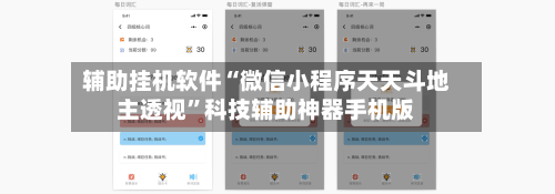 辅助挂机软件“微信小程序天天斗地主透视	”科技辅助神器手机版-第2张图片