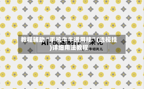 教程辅助“手机牛牛通用挂”(透视挂)详细用法教程-第1张图片