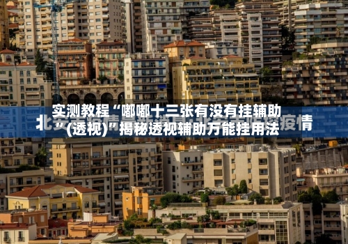 实测教程“嘟嘟十三张有没有挂辅助”(透视)	”揭秘透视辅助万能挂用法-第3张图片