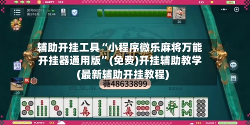 辅助开挂工具“小程序微乐麻将万能开挂器通用版”(免费)开挂辅助教学(最新辅助开挂教程)-第3张图片