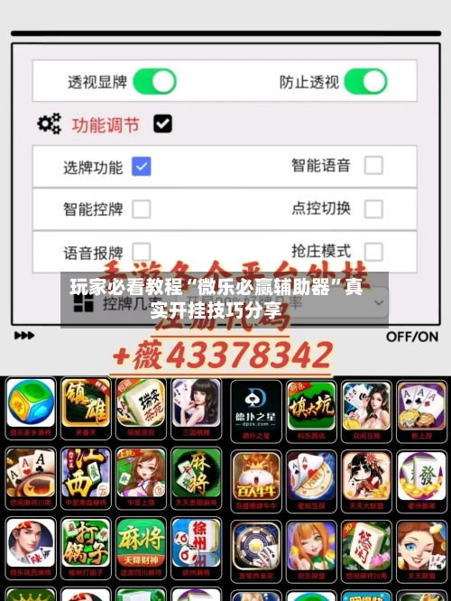 玩家必看教程“微乐必赢辅助器”真实开挂技巧分享-第2张图片