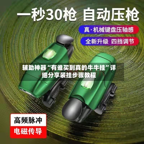 辅助神器“有谁买到真的牛牛挂”详细分享装挂步骤教程-第3张图片