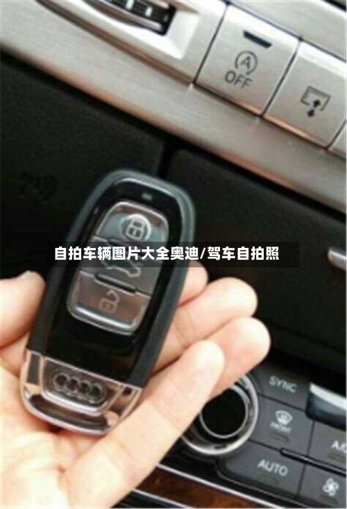 自拍车辆图片大全奥迪/驾车自拍照-第2张图片