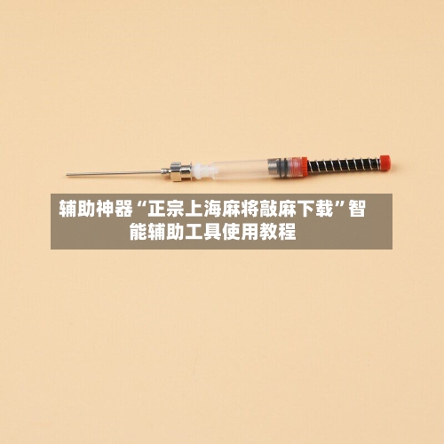 辅助神器“正宗上海麻将敲麻下载”智能辅助工具使用教程-第2张图片