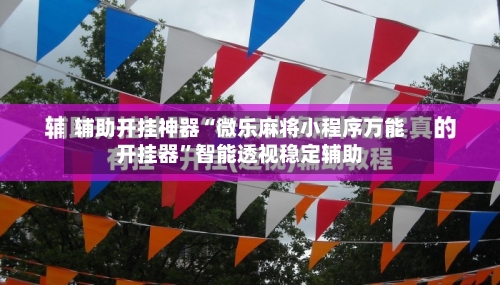 辅助开挂神器“微乐麻将小程序万能开挂器”智能透视稳定辅助-第3张图片