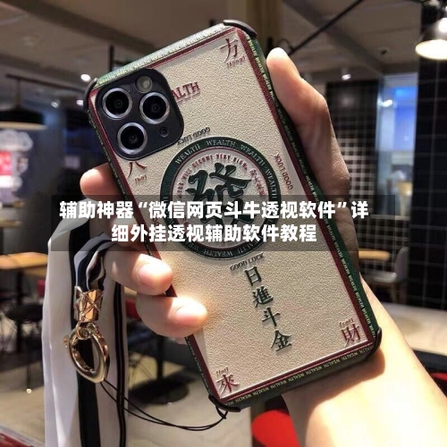 辅助神器“微信网页斗牛透视软件”详细外挂透视辅助软件教程-第2张图片
