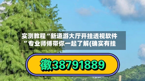 实测教程“新道游大厅开挂透视软件”专业师傅带你一起了解(确实有挂-第1张图片