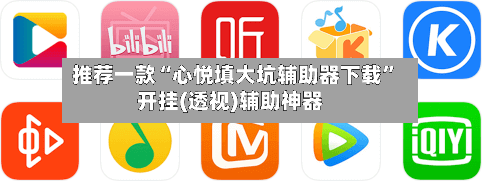 推荐一款“心悦填大坑辅助器下载”开挂(透视)辅助神器-第2张图片