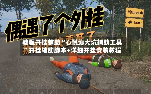 教程开挂辅助“心悦填大坑辅助工具”开挂辅助脚本+详细开挂安装教程-第2张图片