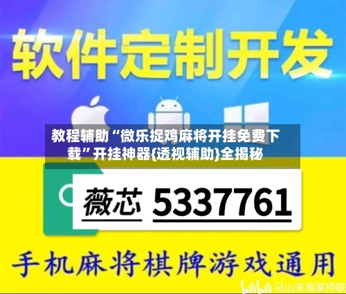 教程辅助“微乐捉鸡麻将开挂免费下载”开挂神器{透视辅助}全揭秘-第2张图片