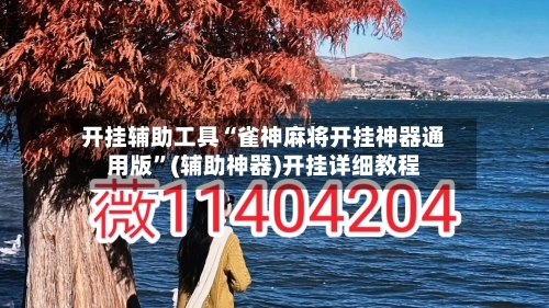 开挂辅助工具“雀神麻将开挂神器通用版”(辅助神器)开挂详细教程-第3张图片