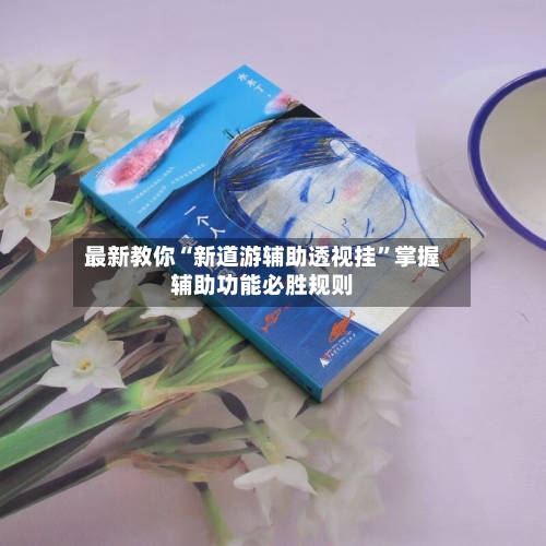 最新教你“新道游辅助透视挂	”掌握辅助功能必胜规则-第2张图片