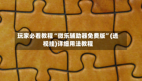 玩家必看教程“微乐辅助器免费版	”(透视挂)详细用法教程-第1张图片