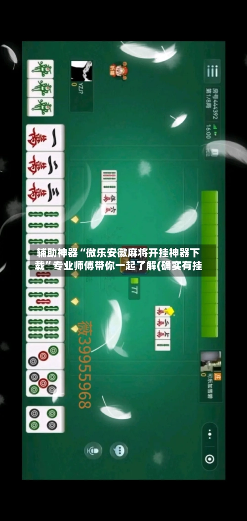 辅助神器“微乐安徽麻将开挂神器下载”专业师傅带你一起了解(确实有挂-第3张图片