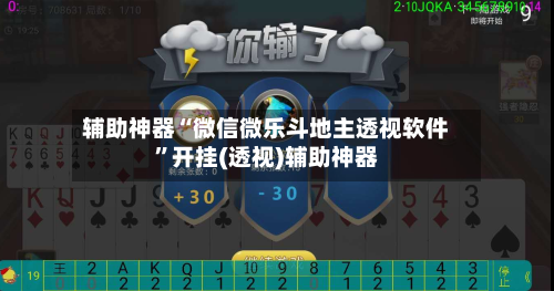 辅助神器“微信微乐斗地主透视软件”开挂(透视)辅助神器-第2张图片