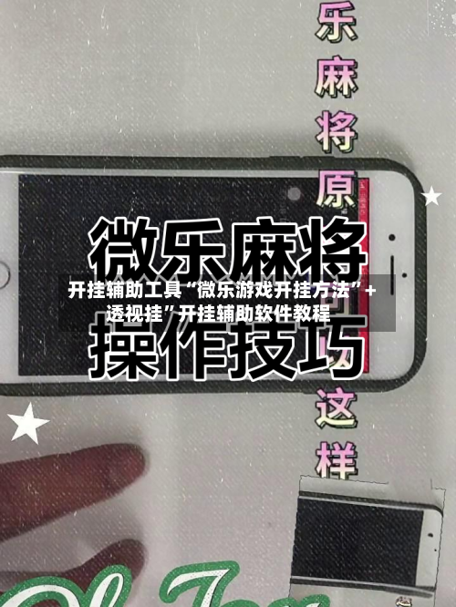 开挂辅助工具“微乐游戏开挂方法	”+透视挂”开挂辅助软件教程-第3张图片
