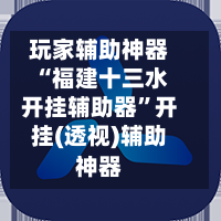 玩家辅助神器“福建十三水开挂辅助器”开挂(透视)辅助神器-第2张图片