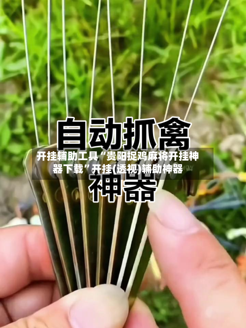 开挂辅助工具“贵阳捉鸡麻将开挂神器下载”开挂(透视)辅助神器-第2张图片