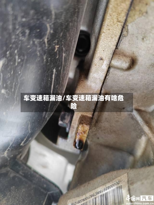 车变速箱漏油/车变速箱漏油有啥危险-第2张图片
