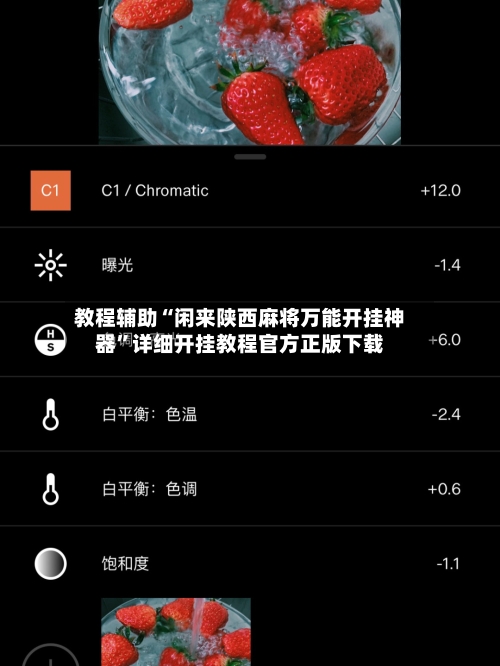 教程辅助“闲来陕西麻将万能开挂神器”详细开挂教程官方正版下载-第1张图片
