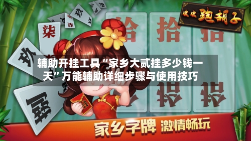 辅助开挂工具“家乡大贰挂多少钱一天”万能辅助详细步骤与使用技巧-第3张图片