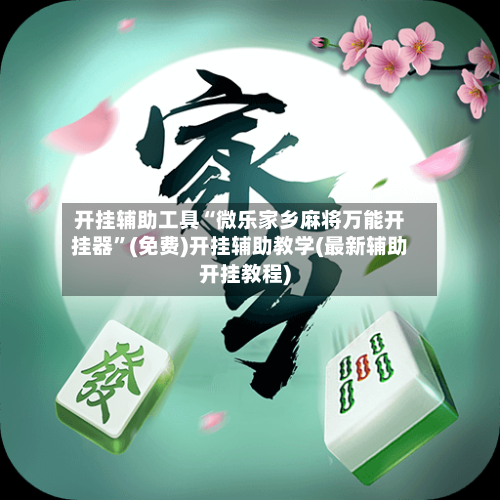 开挂辅助工具“微乐家乡麻将万能开挂器”(免费)开挂辅助教学(最新辅助开挂教程)-第3张图片