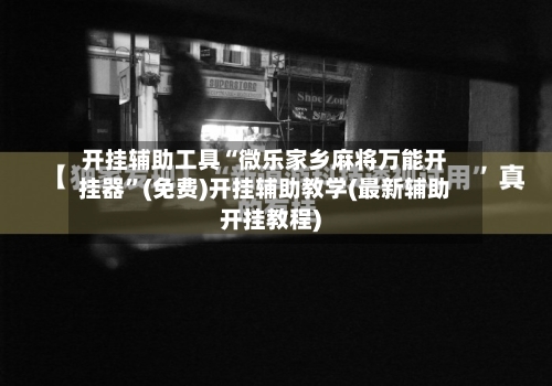 开挂辅助工具“微乐家乡麻将万能开挂器”(免费)开挂辅助教学(最新辅助开挂教程)-第2张图片