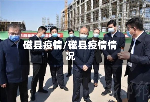 磁县疫情/磁县疫情情况-第3张图片