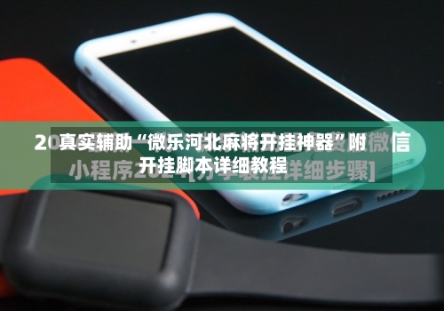 真实辅助“微乐河北麻将开挂神器	”附开挂脚本详细教程-第2张图片