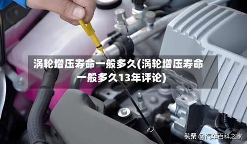 涡轮增压寿命一般多久(涡轮增压寿命一般多久13年评论)-第1张图片