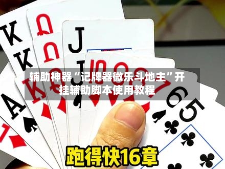 辅助神器“记牌器微乐斗地主”开挂辅助脚本使用教程-第1张图片