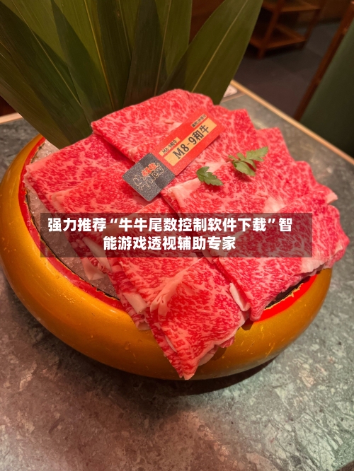 强力推荐“牛牛尾数控制软件下载”智能游戏透视辅助专家-第2张图片