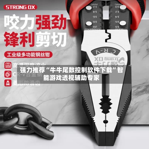 强力推荐“牛牛尾数控制软件下载”智能游戏透视辅助专家-第3张图片