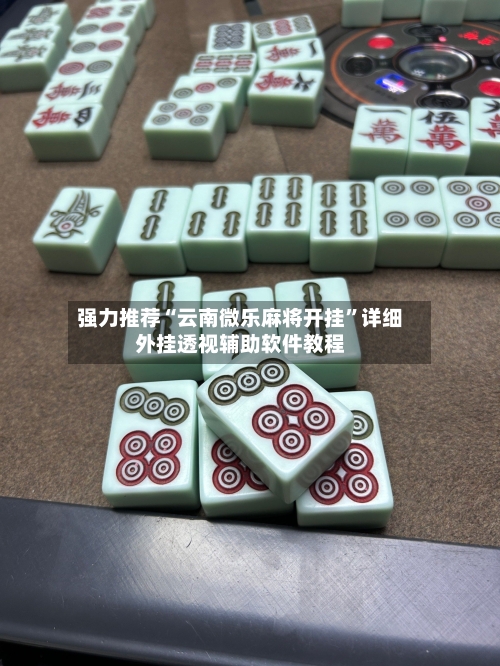 强力推荐“云南微乐麻将开挂”详细外挂透视辅助软件教程-第1张图片