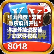 强力推荐“云南微乐麻将开挂”详细外挂透视辅助软件教程-第3张图片